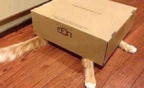 ���� 9: ������ ����� ����� �������? ������� ��������� ������.