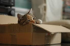 ���� 12: ������ ����� ����� �������? ������� ��������� ������.