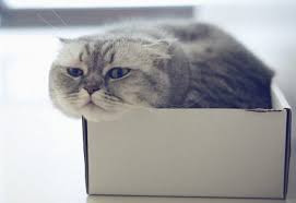 ���� 14: ������ ����� ����� �������? ������� ��������� ������.