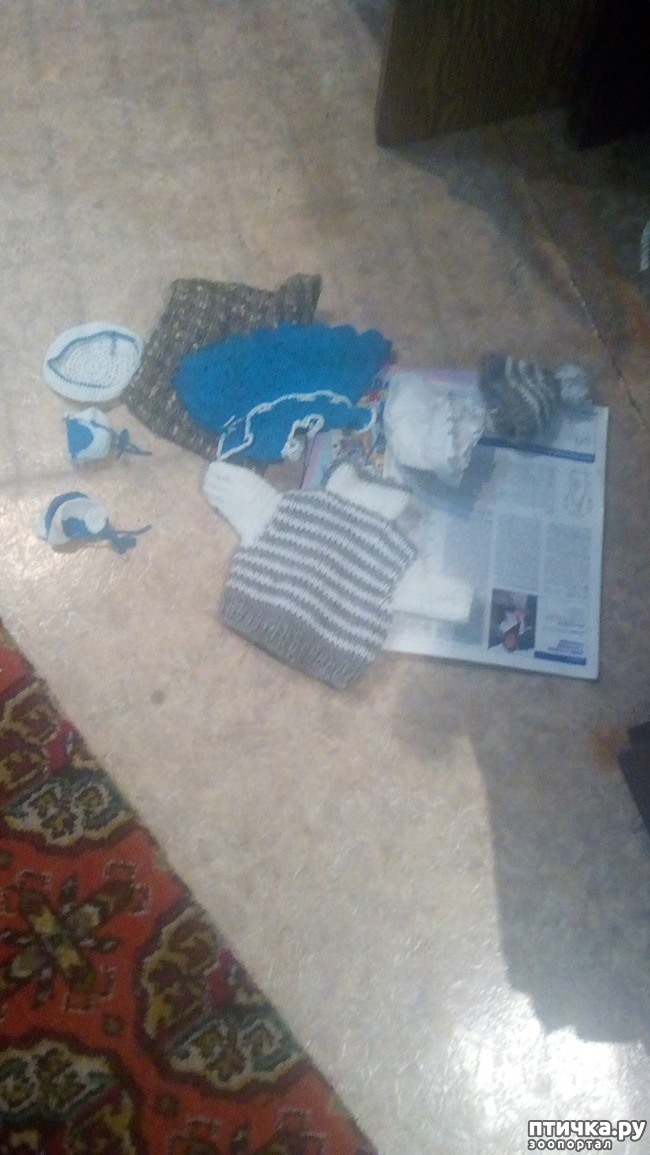 ���� 1: ���������.