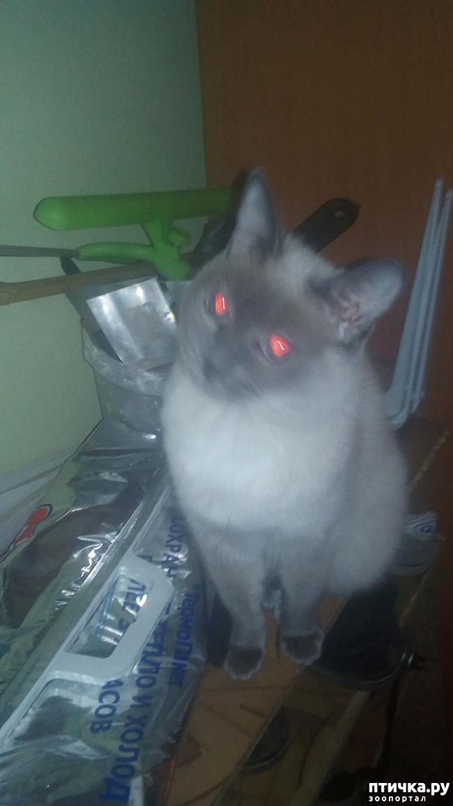 ���� 2: ���������.