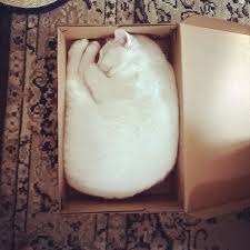 ���� 15: ������ ����� ����� �������? ������� ��������� ������.