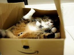 ���� 17: ������ ����� ����� �������? ������� ��������� ������.