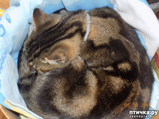 ���� 20: ������ ����� ����� �������? ������� ��������� ������.