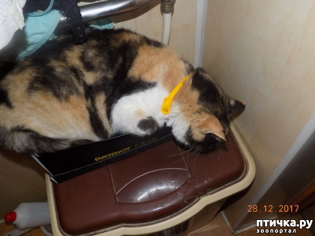 ���� 21: ������ ����� ����� �������? ������� ��������� ������.