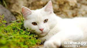 ����: ������ ����� ���������?