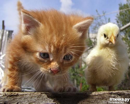 ���� 1: ���� � ����.