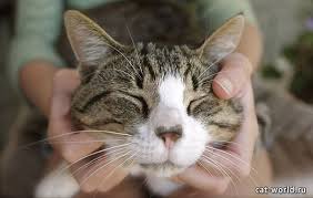 ���� 2: ������ ����� ���������?