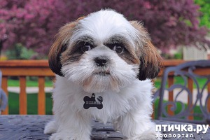 ����: ��������� ����� ����� ���? ���� ���������� ��� ���������?