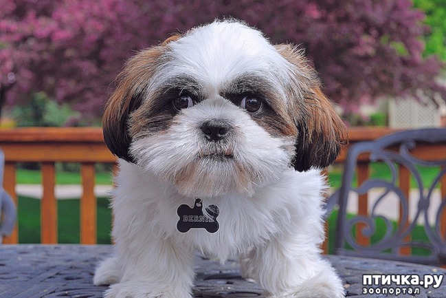 ���� 1: ��������� ����� ����� ���? ���� ���������� ��� ���������?