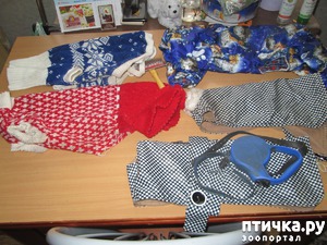 ����: ������� �����������.