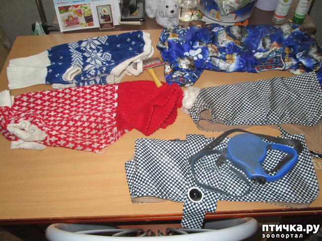 ���� 1: ������� �����������.