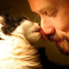 ���� 1: ��� ����� ���������� ���� ������ ���.