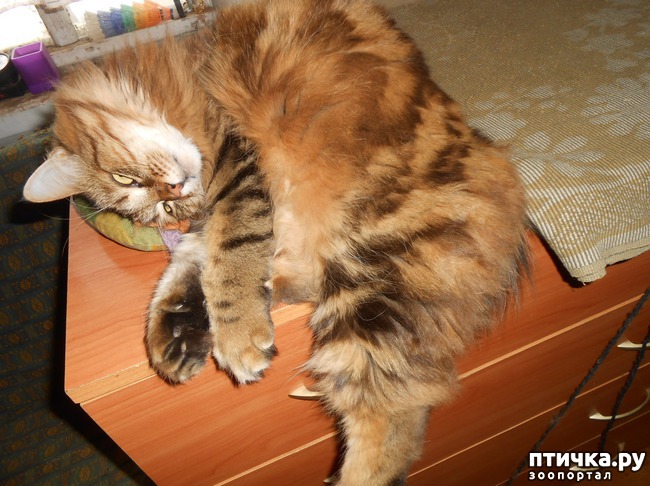 ���� 3: ���������� �������. ���������� ����� � ���������� ���������� � ������� ���������.