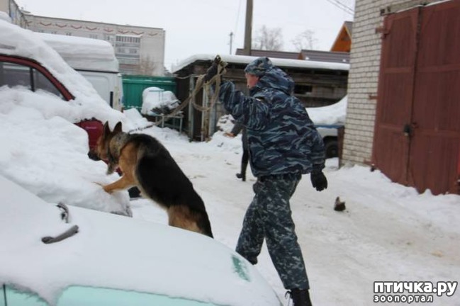 ���� 6: ���� ������� ����������