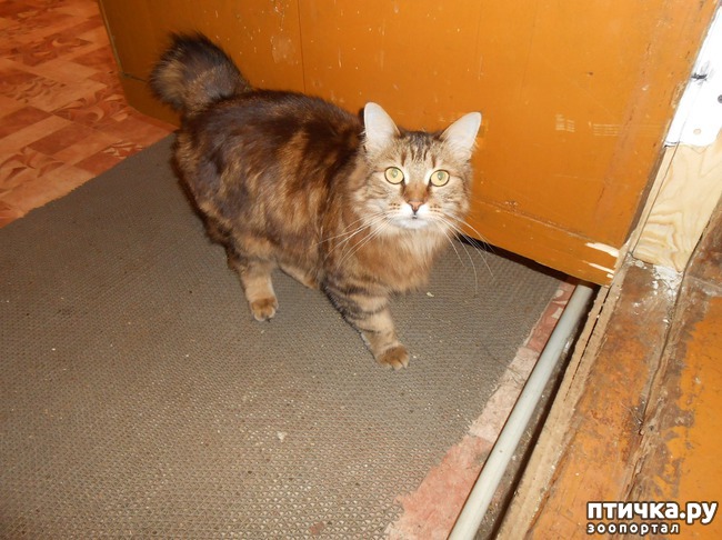 ���� 2: ���������� �������. ���������� ����� � ���������� ���������� � ������� ���������.