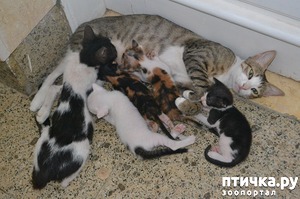 ����: ����� � ������