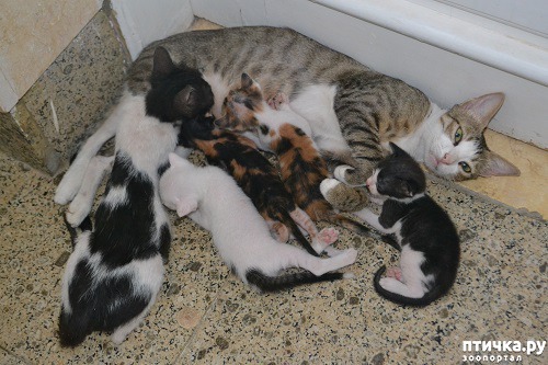 ���� 1: ����� � ������