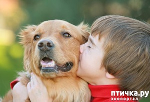 ����: ������ ��������� ������� �������� � ����������. ����� ������ ����� ��� ���������.