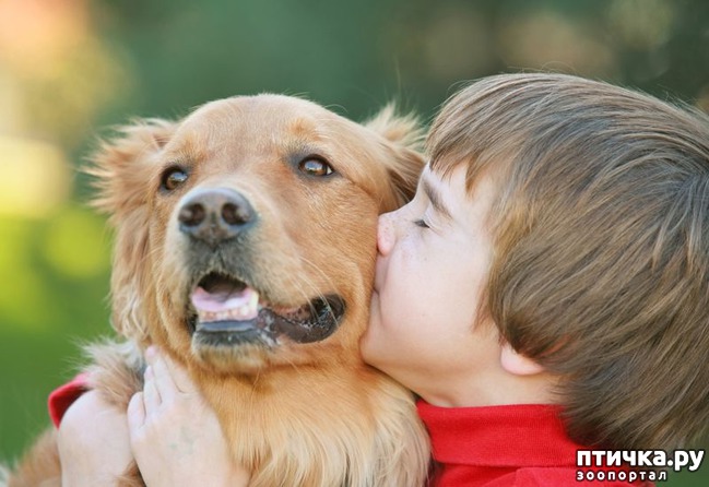 ���� 1: ������ ��������� ������� �������� � ����������. ����� ������ ����� ��� ���������.