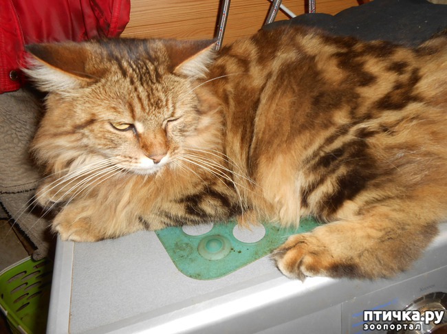 ���� 5: ���������� �������. ���������� ����� � ���������� ���������� � ������� ���������.