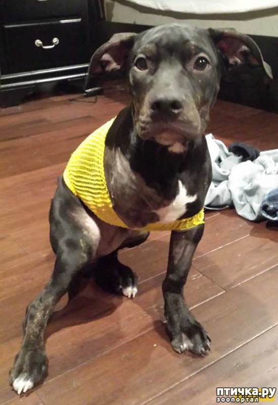 ���� 2: ����������� ���� ����������� �� ������ �����-��������