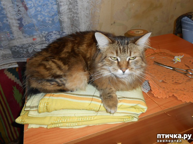 ���� 6: ���������� �������. ���������� ����� � ���������� ���������� � ������� ���������.