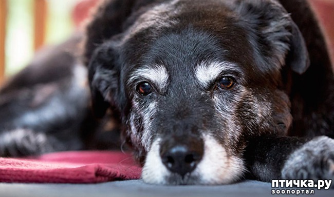 ���� 1: ������� ����� �� ������������� (�. ��������)