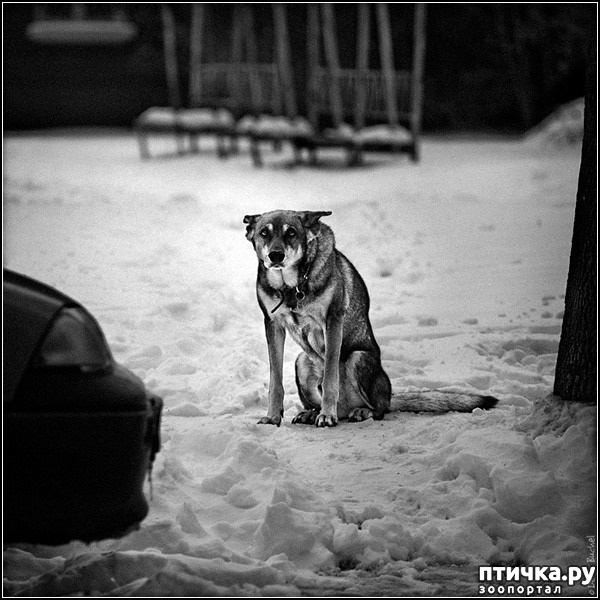 ���� 7: ������� �����. �����-����� ���� ������ ������