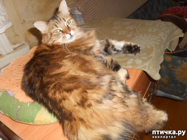 ���� 4: ���������� �������. ���������� ����� � ���������� ���������� � ������� ���������.