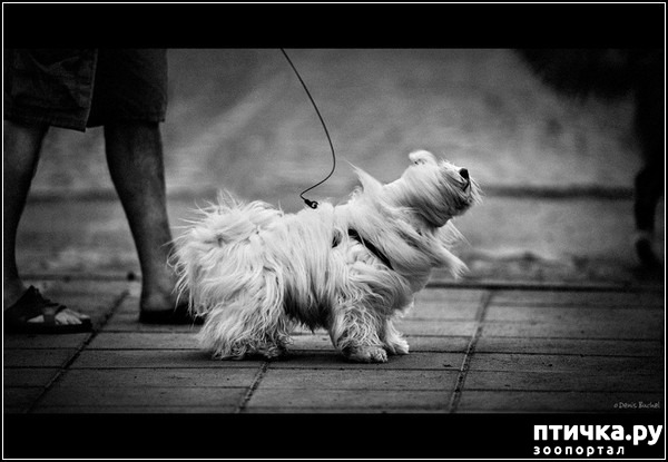 ���� 6: ������� �����. �����-����� ���� ������ ������