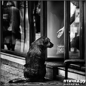 ����: ������� �����. �����-����� ���� ������ ������