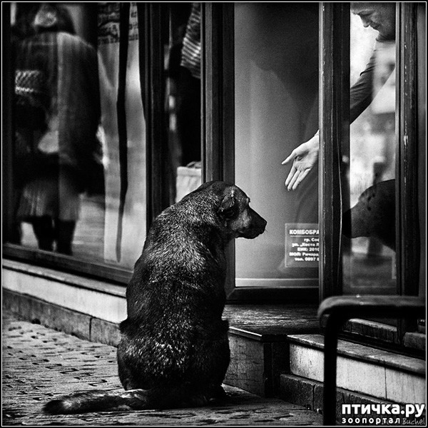 ���� 1: ������� �����. �����-����� ���� ������ ������