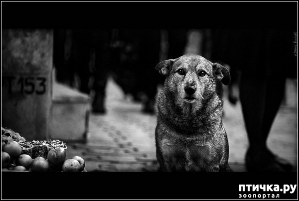 ���� 2: ������� �����. �����-����� ���� ������ ������