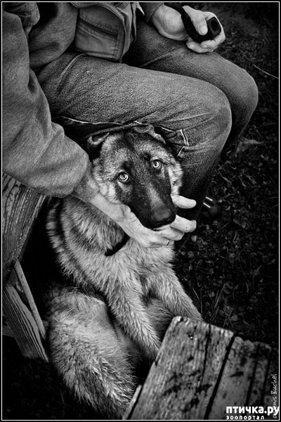 ���� 3: ������� �����. �����-����� ���� ������ ������