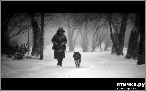 ���� 4: ������� �����. �����-����� ���� ������ ������