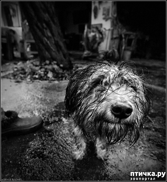 ���� 5: ������� �����. �����-����� ���� ������ ������