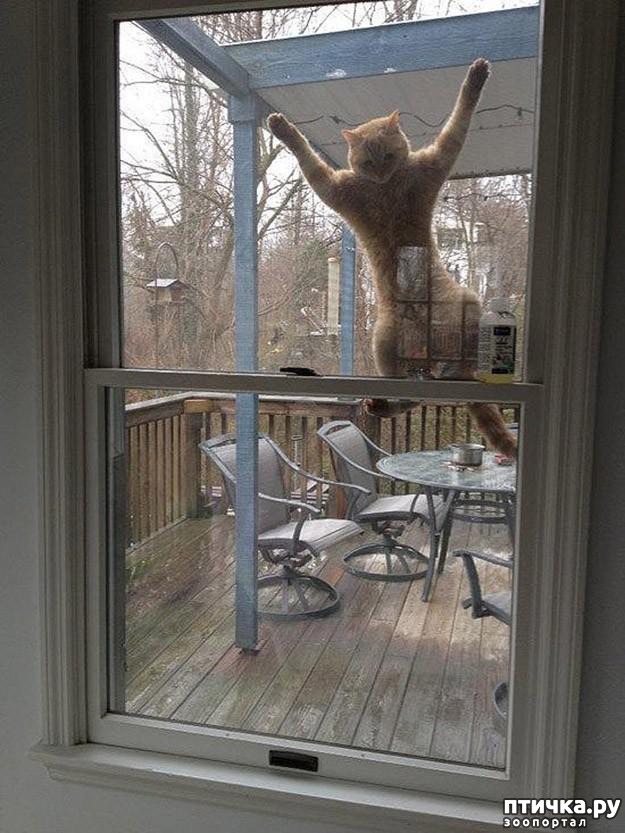 ���� 2: 20 ������ ���������� ����� ���� ������ � ������� 3