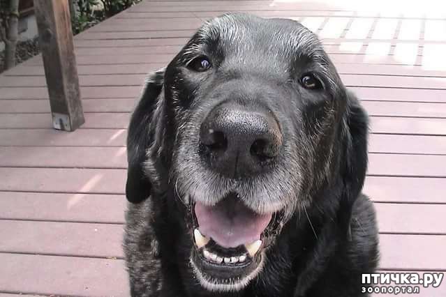 ���� 1: ������� ����� �� �������������. �. �������� (�����������)