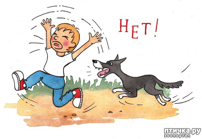 ���� 2: ������� ������������: ���� � ��������