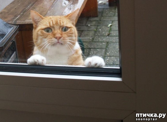 ���� 3: 20 ������ ���������� ����� ���� ������ � ������� 3