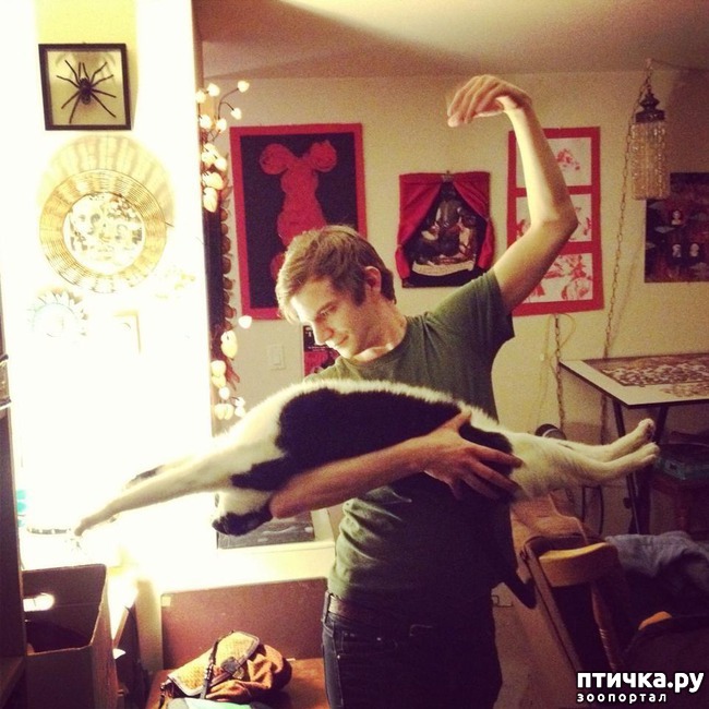 ���� 4: 20 ������ ���������� ����� ���� ������ � ������� 3