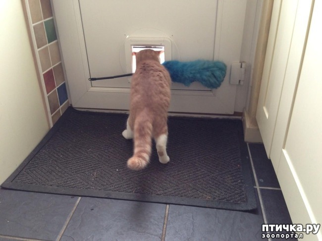 ���� 5: 20 ������ ���������� ����� ���� ������ � ������� 3