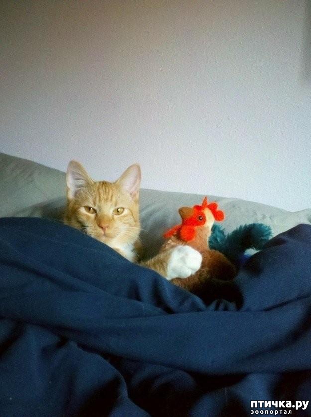 ���� 6: 20 ������ ���������� ����� ���� ������ � ������� 3