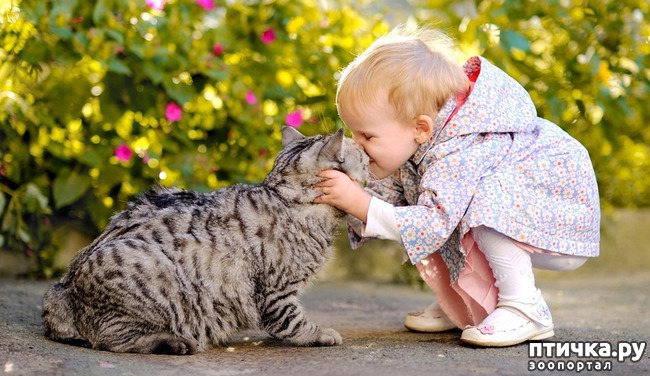 ���� 3: ������� ������������: ���� � ��������