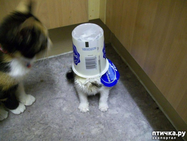 ���� 7: 20 ������ ���������� ����� ���� ������ � ������� 3