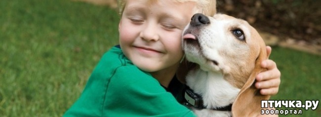 ���� 4: ������� ������������: ���� � ��������