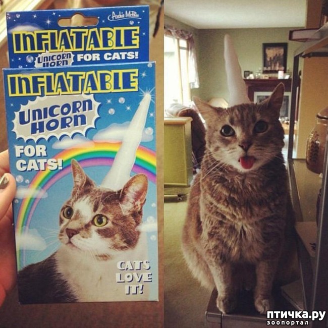 ���� 10: 20 ������ ���������� ����� ���� ������ � ������� 3