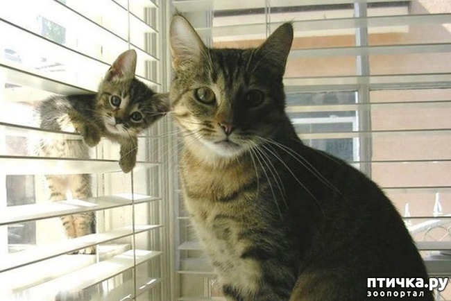 ���� 11: 20 ������ ���������� ����� ���� ������ � ������� 3