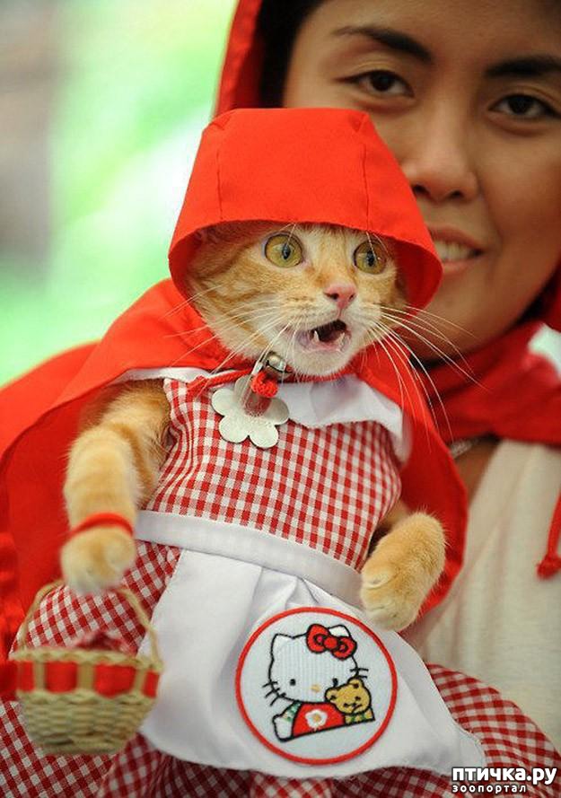 ���� 12: 20 ������ ���������� ����� ���� ������ � ������� 3